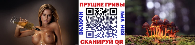 хочу   кракен как зайти  Псилоцибиновые грибы Magic Shrooms  Великий Новгород 