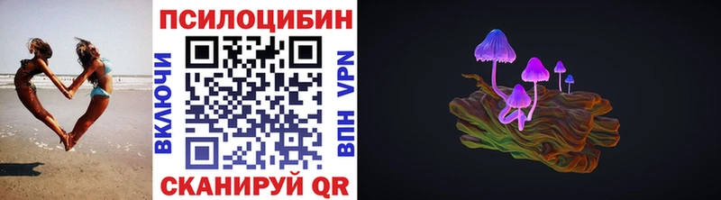Псилоцибиновые грибы Psilocybe Великий Новгород